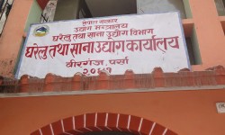 पर्सामा साना तथा घरेलु उद्योगमा महिला उद्यमीको स्वामित्व बढ्दै