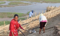 भूक्षय नियन्त्रणमा जैविक तटबन्ध प्रभावकारी