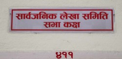 आईपीओ प्रकरण : लेखा समितिको निर्देशन उल्ट्याउन अर्थ समितिमा उजुरी