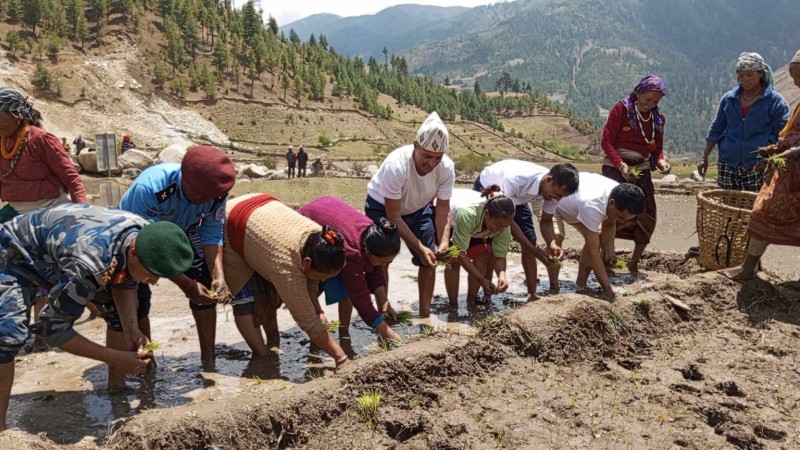 विश्वकै अग्लो स्थान छुमचौर जिउलोमा रोपाइँ महोत्सव सम्पन्न