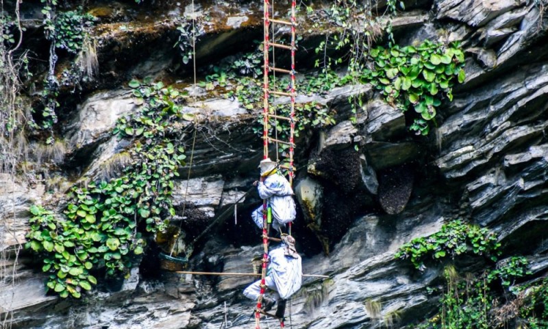 आयआर्जन र पर्यटन प्रवर्द्धनको माध्यम महसिकार