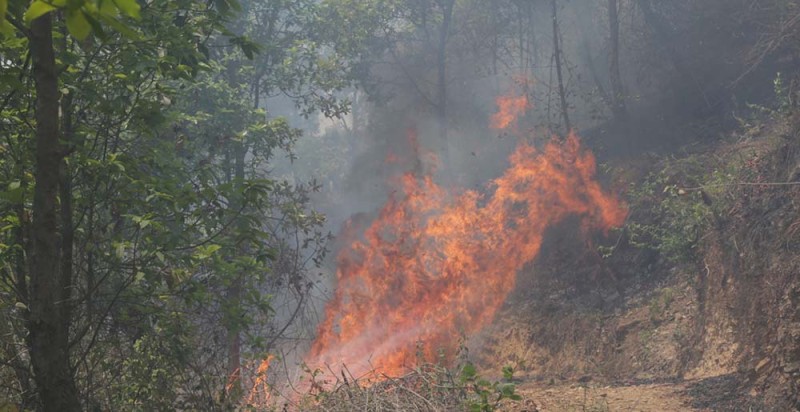 यो वर्ष वैशाखमा मात्रै आगोले लियो २७ को ज्यान 