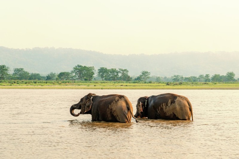 तराईमा त्राहि : गर्मी झन् बढ्दै