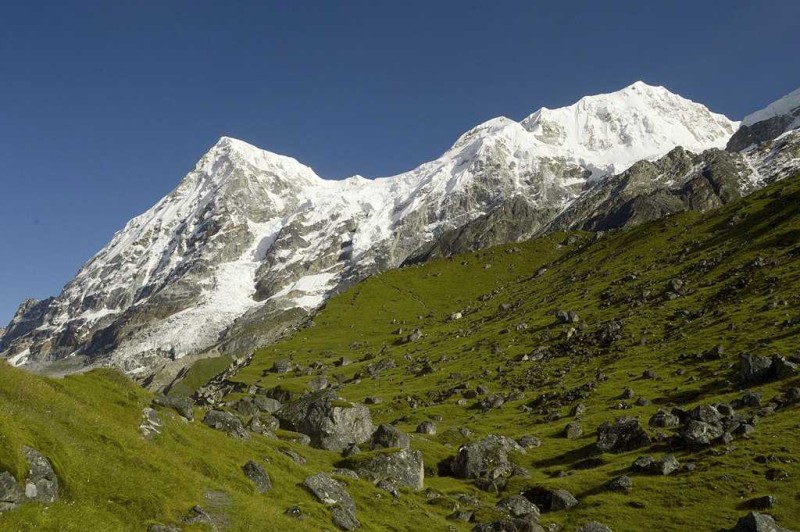 कञ्चनजङ्घा क्षेत्रमा हिउँचितुवाको आक्रमण बढ्दो